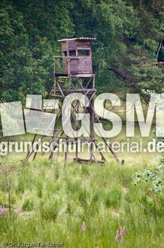 Hochstände (112 von 154).jpg